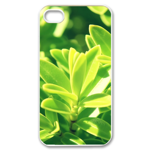 fresh green Case for iPhone 4,4S