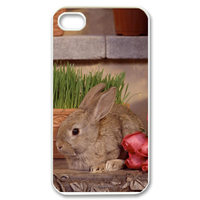 lonely rabbit Case for iPhone 4,4S