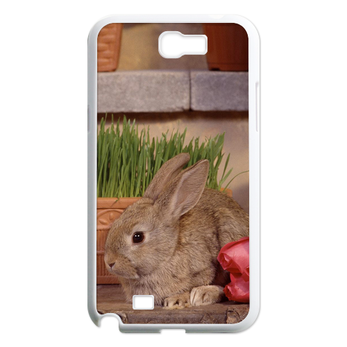 lonely rabbit Case for Samsung Galaxy Note 2 N7100