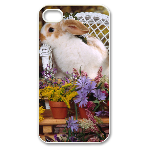 the rabbit princess Case for iPhone 4,4S