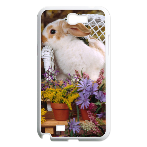 the rabbit princess Case for Samsung Galaxy Note 2 N7100