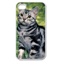 the wildcat Case for iPhone 4,4S