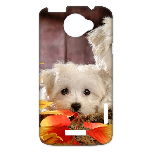 two bichon frises Case for HTC One X +
