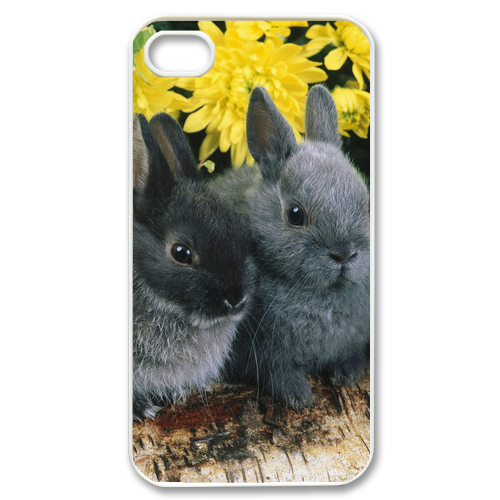 two grey rabbits Case for iPhone 4,4S