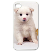 white dog with ducks Case for iPhone 4,4S