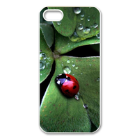 Coccinella septempunctata with three leaves Case for Iphone 5