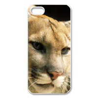 little leopard thinking Case for Iphone 5