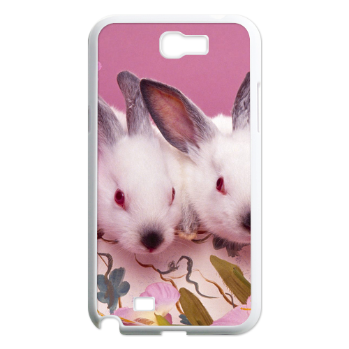rabbit sisters Case for Samsung Galaxy Note 2 N7100