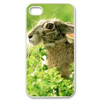 the hill rabbit Case for iPhone 4,4S