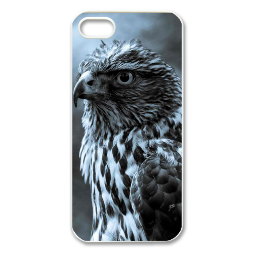 thinking eagle Case for Iphone 5