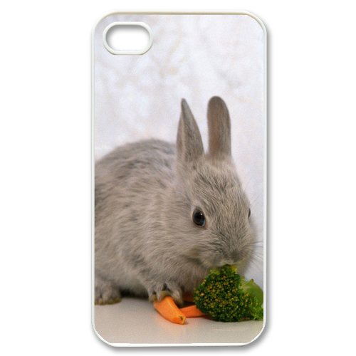 two rabbits Case for iPhone 4,4S