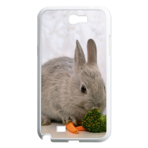 two rabbits Case for Samsung Galaxy Note 2 N7100