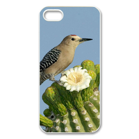 little bird Case for Iphone 5