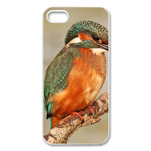the lonely bird Case for Iphone 5