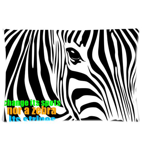 zebra pillow Custom Rectangle Pillow Cases 20x30 (one side)