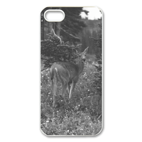 Black Tail Deer Case for Iphone 5