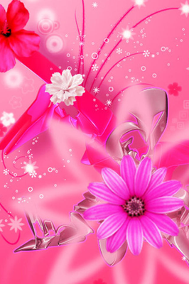 pink pretty flowers