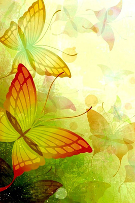 yellow butterflies