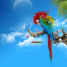 colorful parrot