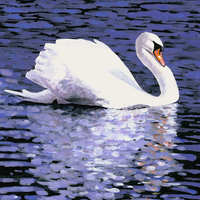 the white goose on the water