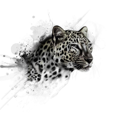 leopard