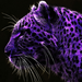 purple tiger