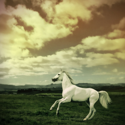 the white horse