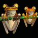 two frogs