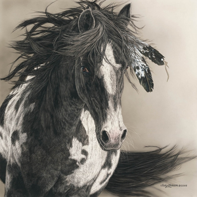 white and black horse