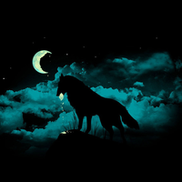 wolf in the moonlight