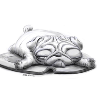 sleeping shar pei