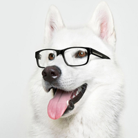 the dog with eye glasses