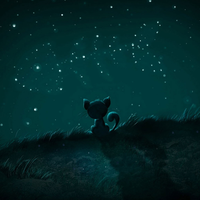 the cat under the stars