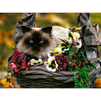 the cat in the flower basket