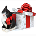 the cat with gift