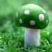 green mushroom