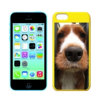 Custom Colorful Cases for iPhone 5C