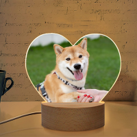 Heart-Shaped Acrylic Photo Panel with Light Base