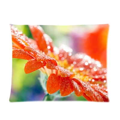 Custom Picture Pillow Cases 20x26 (one side)