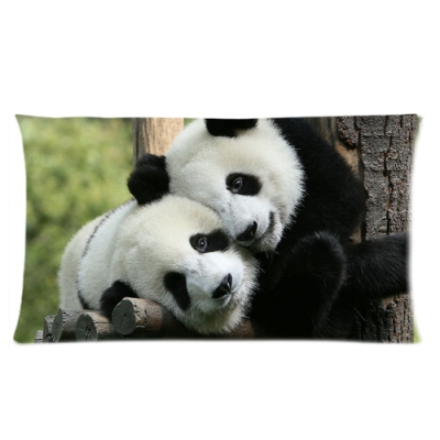 Custom Rectangle Pillow Cases 20x36 (one side)