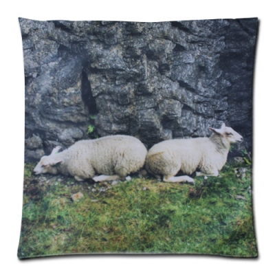 Custom Zippered Pillow Case 18x18 (one side)