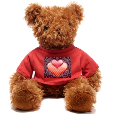 Cute Brown Teddy Bear （Front and Back sides）