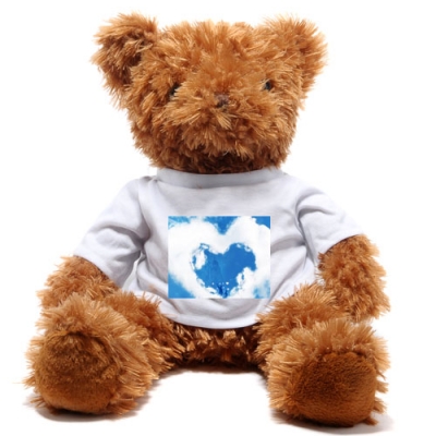 Cute Brown Teddy Bear （Front and Back sides）