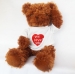 Cute Brown Teddy Bear （Front and Back sides）