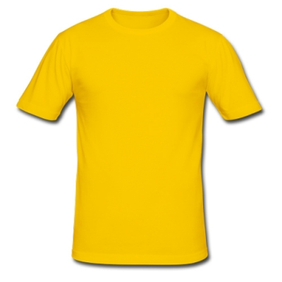 Men's Slim Fit T-shirt Model T13