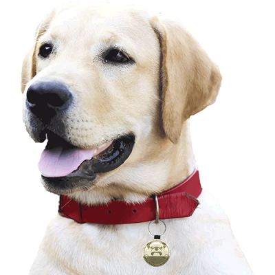 Round Pet ID Tag