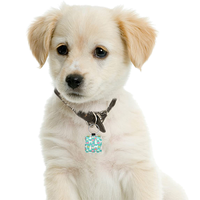 Square Pet ID Tag