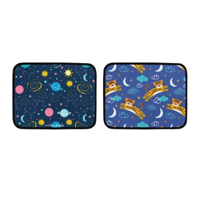 Back Car Floor Mat (2pcs)